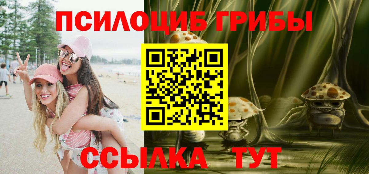Псилоцибиновые грибы MAGIC MUSHROOMS Кунгур